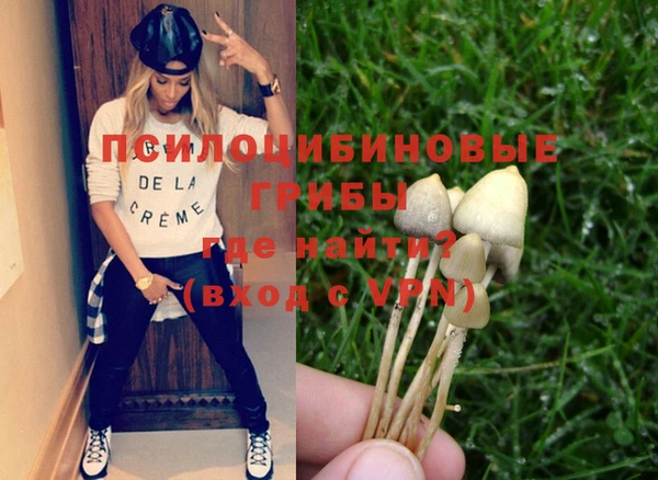 МДПВ Абдулино