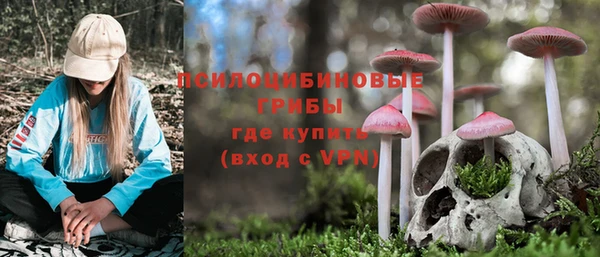 МДПВ Корсаков