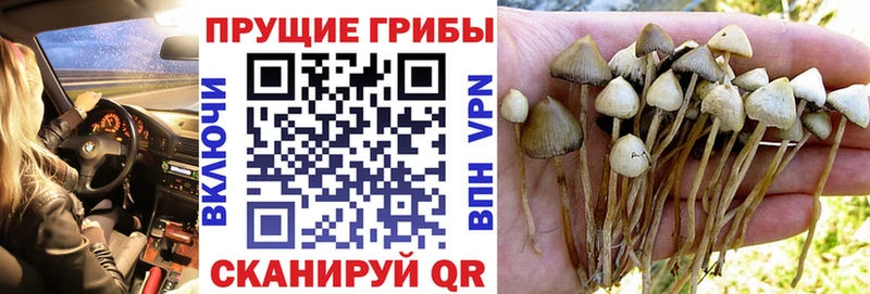 mega рабочий сайт  Партизанск  Псилоцибиновые грибы ЛСД 