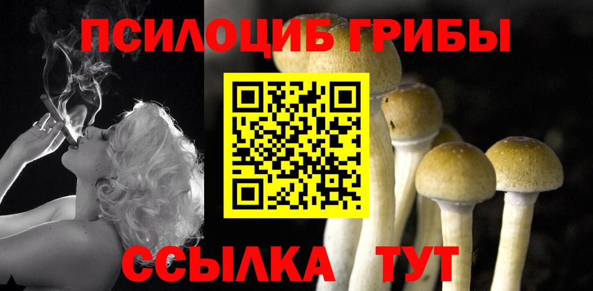 Псилоцибиновые грибы MAGIC MUSHROOMS Партизанск
