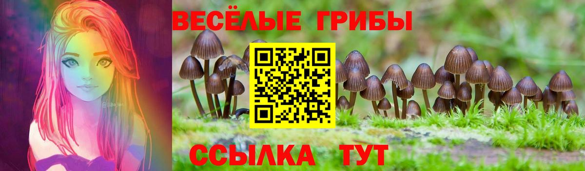 Галлюциногенные грибы Psilocybine cubensis  Вход с VPN  Галлюциногенные грибы ЛСД  Партизанск 